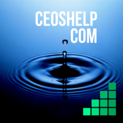 Ceoshelp.com
